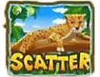 - สัญลักษณ์รูป Scatter Symbol สล็อต Jungle Island