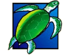 - สัญลักษณ์ เต่าทะเล สล็ํอต Dolphin Treasure