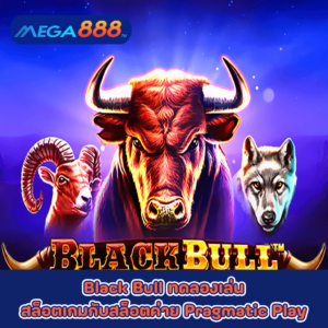 Black Bull ทดลองเล่นสล็อตเกมกับสล็อตค่าย Pragmatic Play